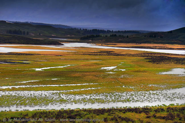 Hayden Valley